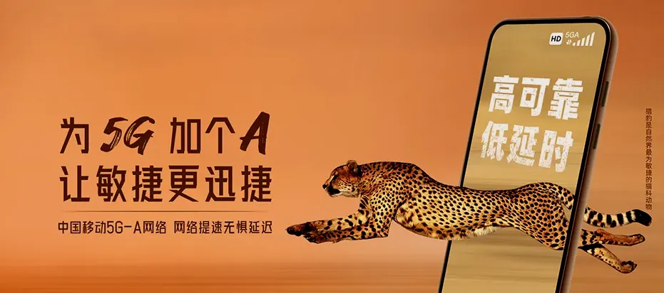 龙泉驿区龙泉驿区山泉镇 移动宽带